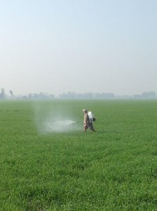 spraying without saftey gear