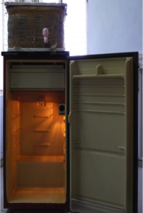 dhruv fridge